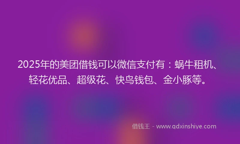 2025年的美团借钱可以微信支付有：蜗牛租机、轻花优品、超级花、快鸟钱包、金小豚等。