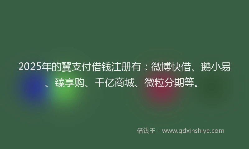 2025年的翼支付借钱注册有：微博快借、鹅小易、臻享购、千亿商城、微粒分期等。