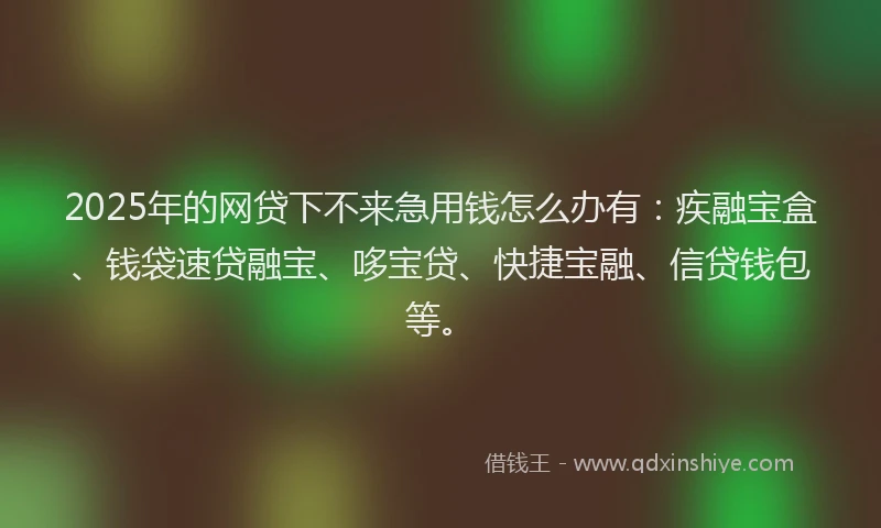 2025年的网贷下不来急用钱怎么办有：疾融宝盒、钱袋速贷融宝、哆宝贷、快捷宝融、信贷钱包等。