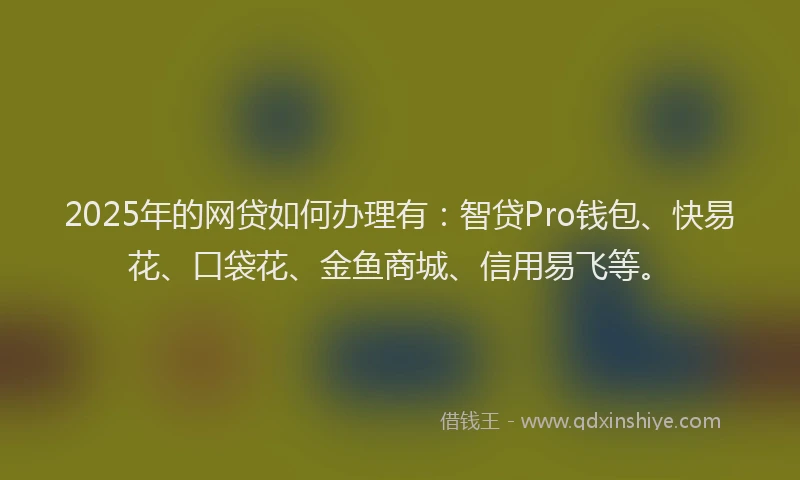 2025年的网贷如何办理有：智贷Pro钱包、快易花、口袋花、金鱼商城、信用易飞等。