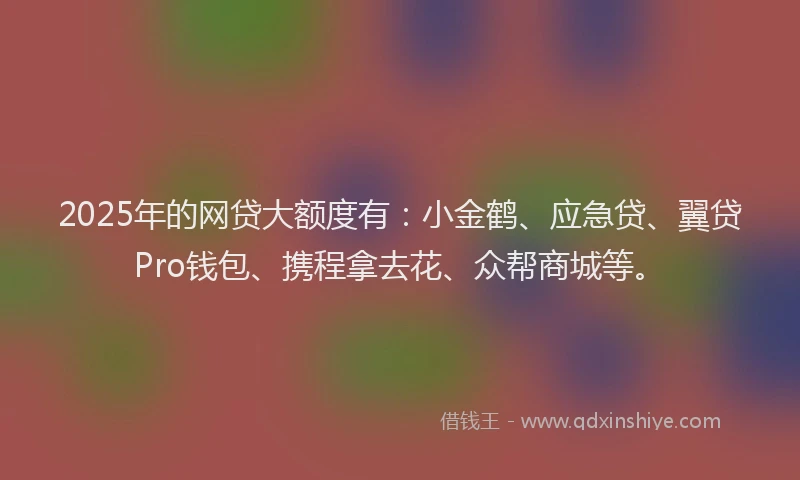 2025年的网贷大额度有：小金鹤、应急贷、翼贷Pro钱包、携程拿去花、众帮商城等。