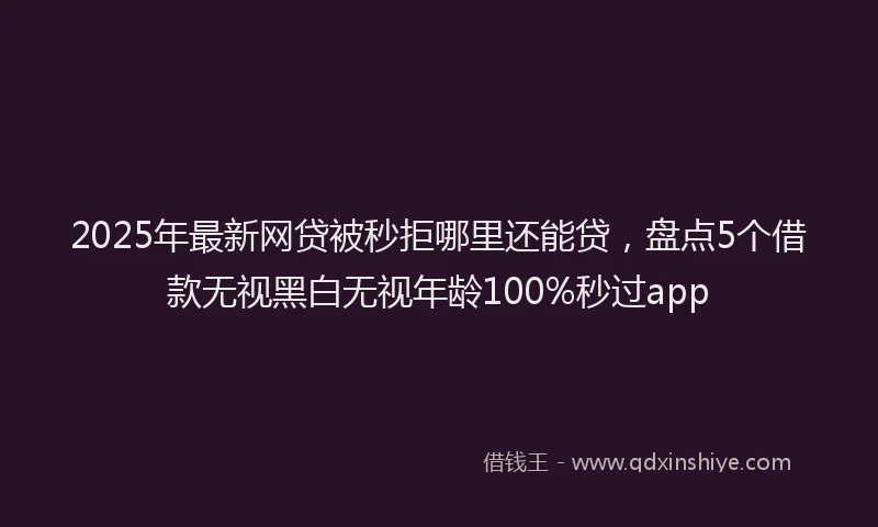 2025年最新网贷被秒拒哪里还能贷，盘点5个借款无视黑白无视年龄100%秒过app