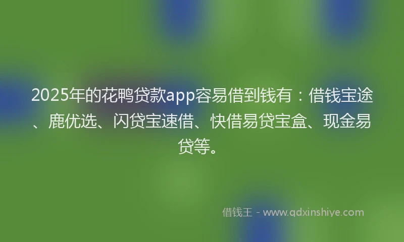 2025年的花鸭贷款app容易借到钱有：借钱宝途、鹿优选、闪贷宝速借、快借易贷宝盒、现金易贷等。