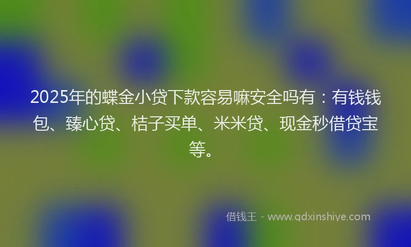 2025年的蝶金小贷下款容易嘛安全吗有:有钱钱包、臻心贷、桔子买单、米米贷、现金秒借贷宝等。