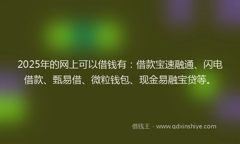 2025年的网上可以借钱有：借款宝速融通、闪电借款、甄易借、微粒钱包、现金易融宝贷等。