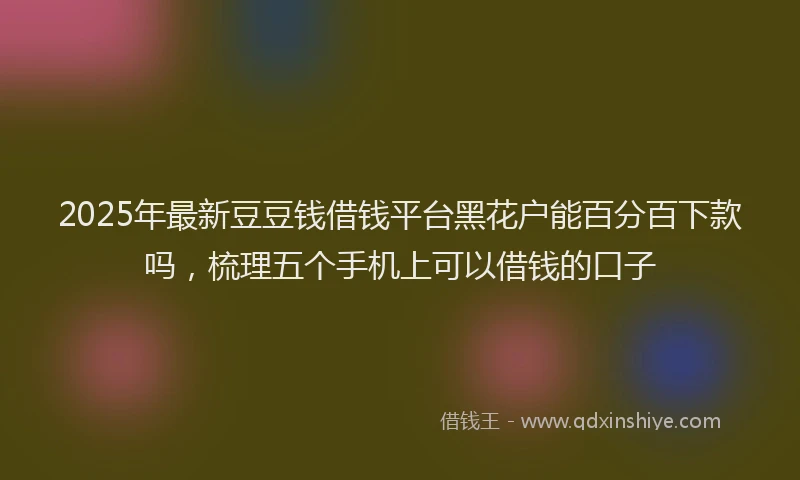 2025年最新豆豆钱借钱平台黑花户能百分百下款吗，梳理五个手机上可以借钱的口子