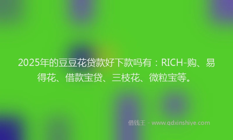 2025年的豆豆花贷款好下款吗有：RICH-购、易得花、借款宝贷、三枝花、微粒宝等。