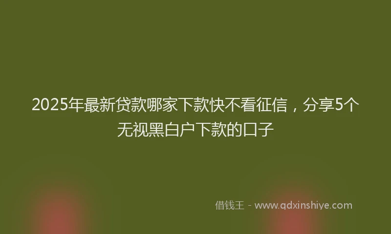 2025年最新贷款哪家下款快不看征信，分享5个无视黑白户下款的口子