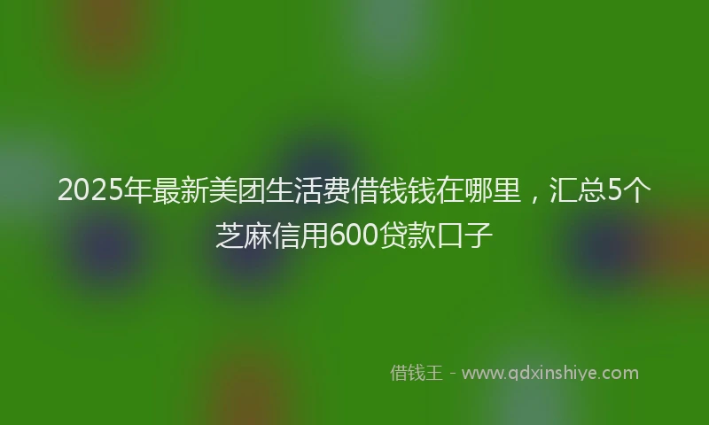 2025年最新美团生活费借钱钱在哪里，汇总5个芝麻信用600贷款口子