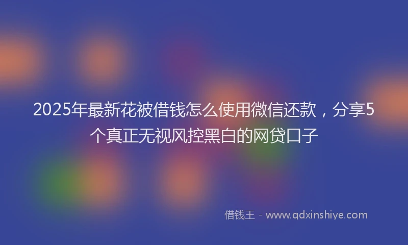 2025年最新花被借钱怎么使用微信还款，分享5个真正无视风控黑白的网贷口子