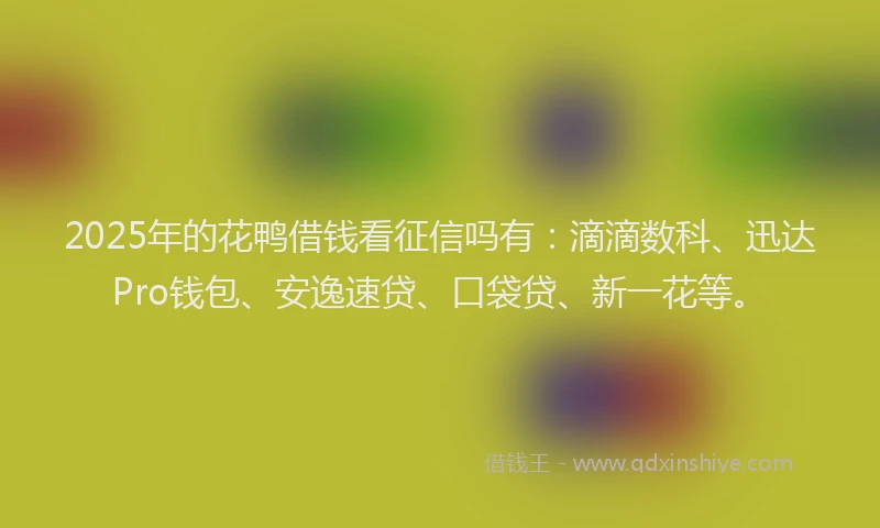 2025年的花鸭借钱看征信吗有：滴滴数科、迅达Pro钱包、安逸速贷、口袋贷、新一花等。
