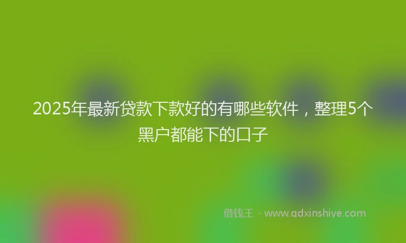 2025年最新贷款下款好的有哪些软件，整理5个黑户都能下的口子