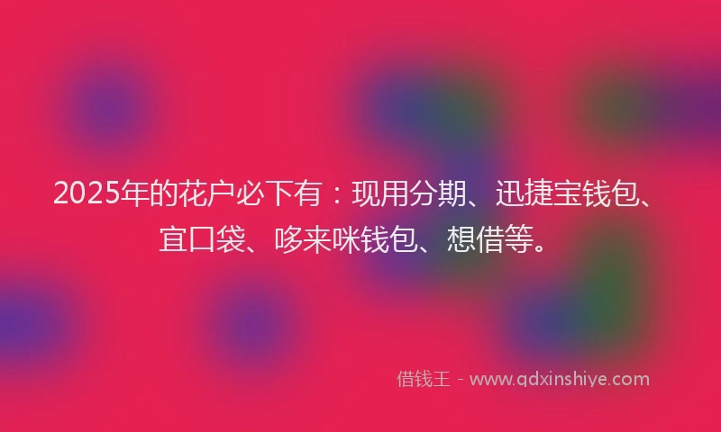 2025年的花户必下有：现用分期、迅捷宝钱包、宜口袋、哆来咪钱包、想借等。
