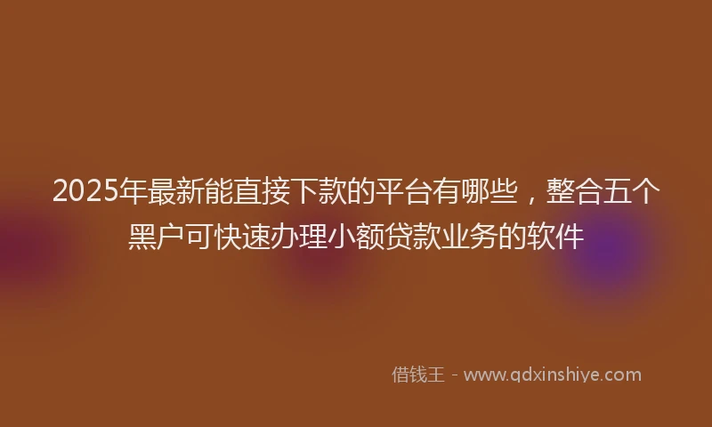2025年最新能直接下款的平台有哪些，整合五个黑户可快速办理小额贷款业务的软件