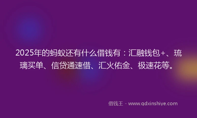 2025年的蚂蚁还有什么借钱有：汇融钱包+、琉璃买单、信贷通速借、汇火佑金、极速花等。