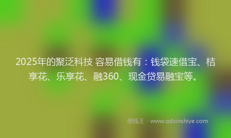 2025年的聚泛科技 容易借钱有：钱袋速借宝、桔享花、乐享花、融360、现金贷易融宝等。