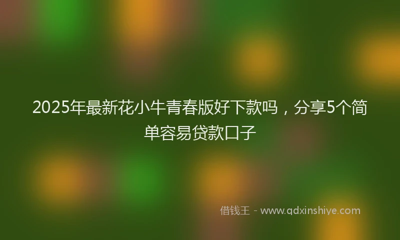 2025年最新花小牛青春版好下款吗，分享5个简单容易贷款口子