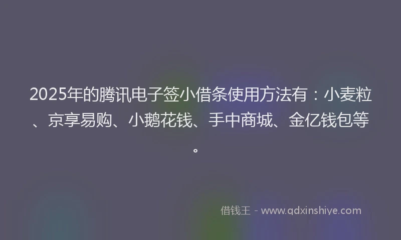 2025年的腾讯电子签小借条使用方法有：小麦粒、京享易购、小鹅花钱、手中商城、金亿钱包等。
