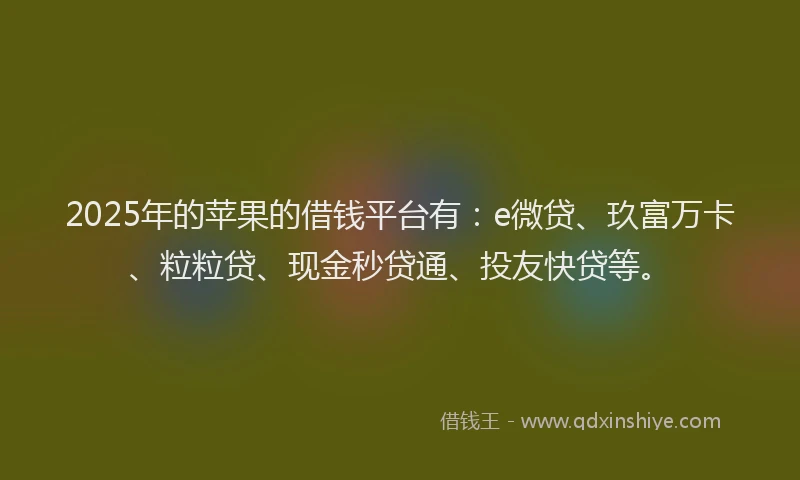 2025年的苹果的借钱平台有：e微贷、玖富万卡、粒粒贷、现金秒贷通、投友快贷等。