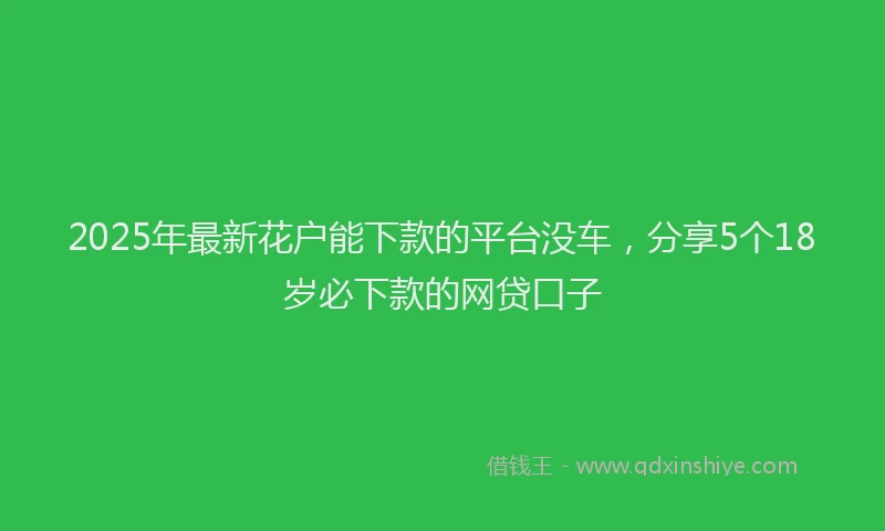 2025年最新花户能下款的平台没车，分享5个18岁必下款的网贷口子