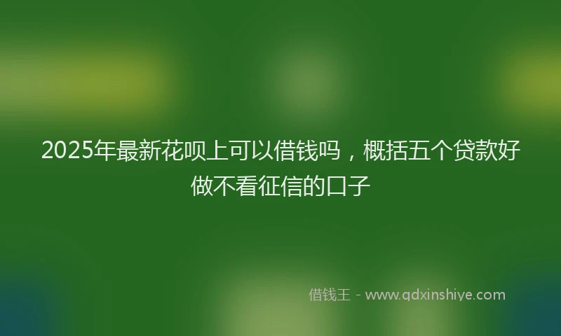 2025年最新花呗上可以借钱吗，概括五个贷款好做不看征信的口子