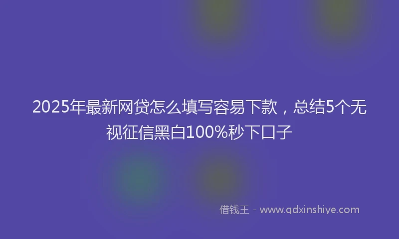 2025年最新网贷怎么填写容易下款，总结5个无视征信黑白100%秒下口子