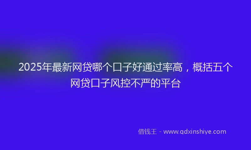 2025年最新网贷哪个口子好通过率高，概括五个网贷口子风控不严的平台