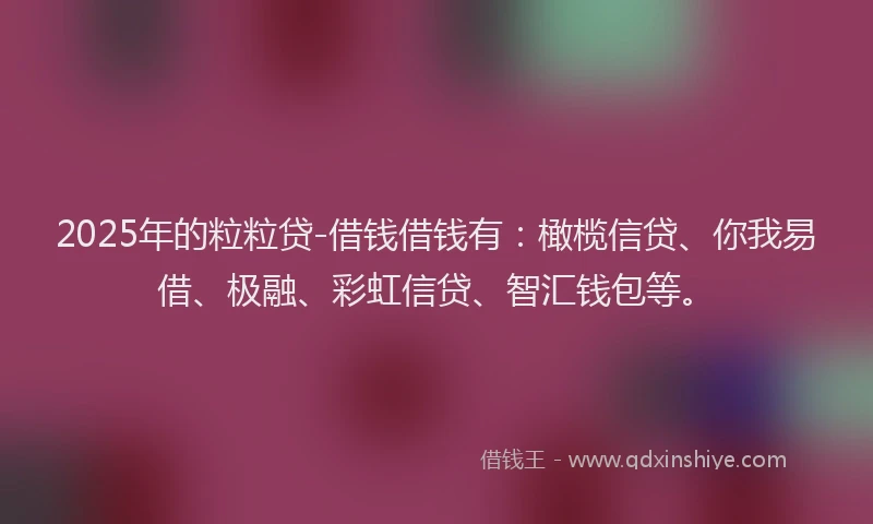 2025年的粒粒贷-借钱借钱有：橄榄信贷、你我易借、极融、彩虹信贷、智汇钱包等。