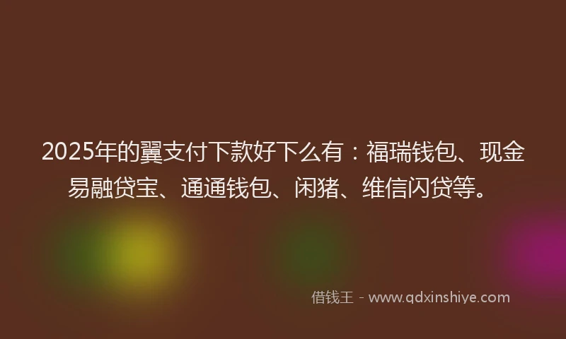 2025年的翼支付下款好下么有：福瑞钱包、现金易融贷宝、通通钱包、闲猪、维信闪贷等。