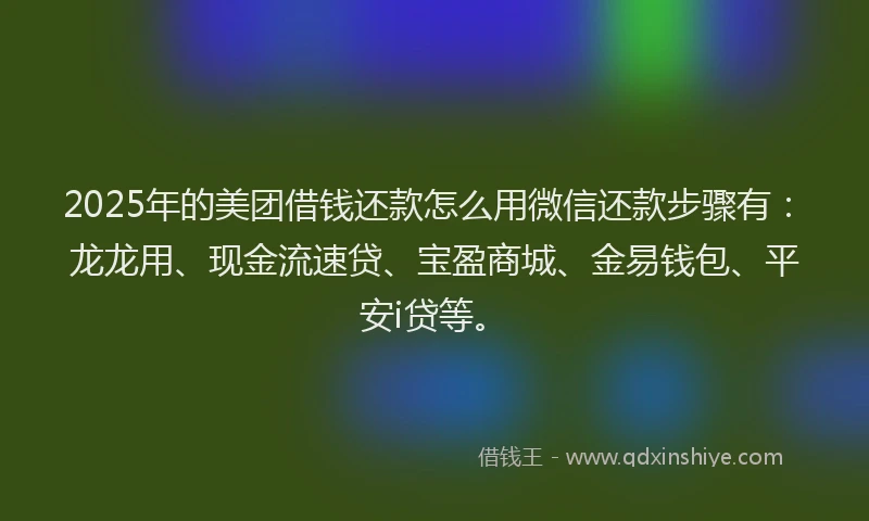 2025年的美团借钱还款怎么用微信还款步骤有：龙龙用、现金流速贷、宝盈商城、金易钱包、平安i贷等。
