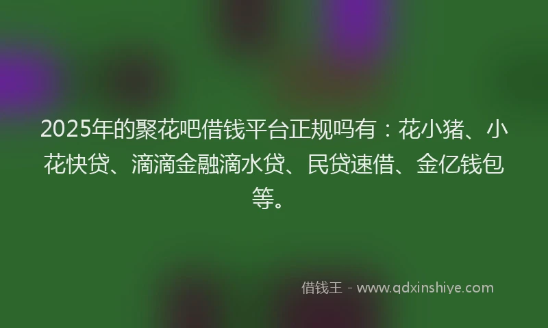 2025年的聚花吧借钱平台正规吗有：花小猪、小花快贷、滴滴金融滴水贷、民贷速借、金亿钱包等。