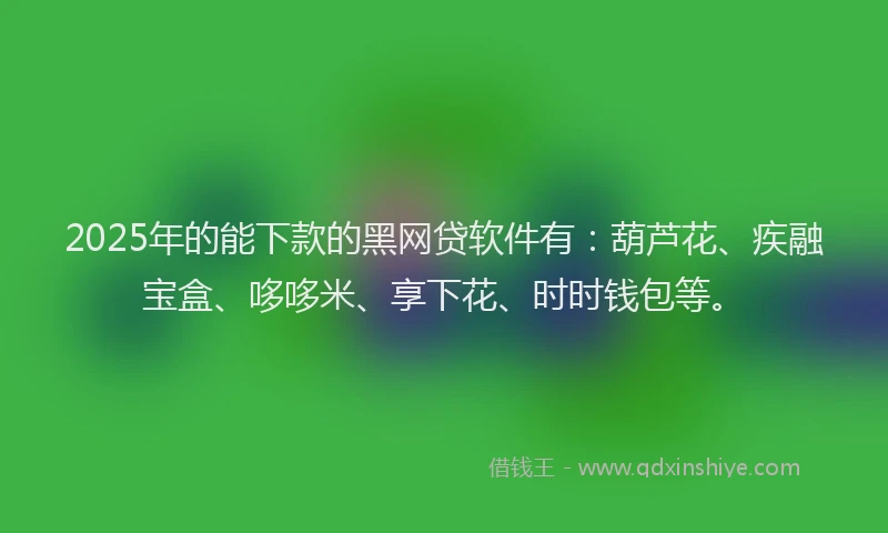 2025年的能下款的黑网贷软件有：葫芦花、疾融宝盒、哆哆米、享下花、时时钱包等。