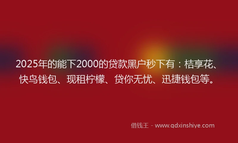 2025年的能下2000的贷款黑户秒下有：桔享花、快鸟钱包、现租柠檬、贷你无忧、迅捷钱包等。