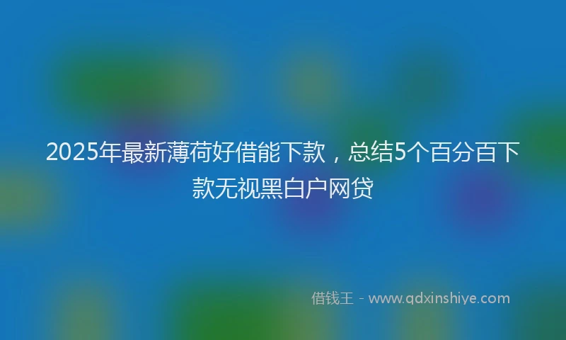 2025年最新薄荷好借能下款，总结5个百分百下款无视黑白户网贷