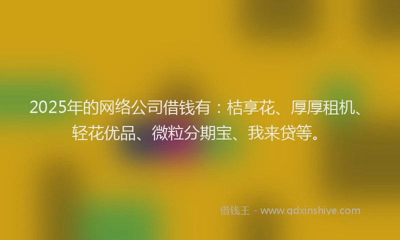 2025年的网络公司借钱有：桔享花、厚厚租机、轻花优品、微粒分期宝、我来贷等。