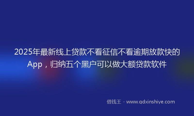 2025年最新线上贷款不看征信不看逾期放款快的App,归纳五个黑户可以做大额贷款软件