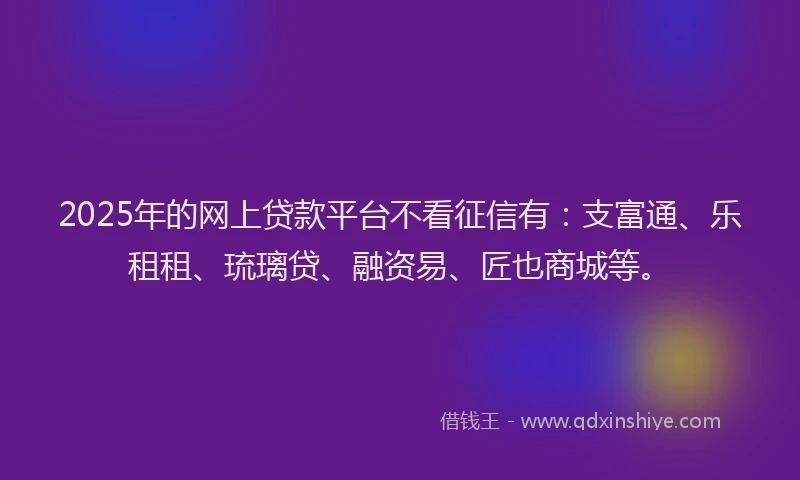 2025年的网上贷款平台不看征信有：支富通、乐租租、琉璃贷、融资易、匠也商城等。