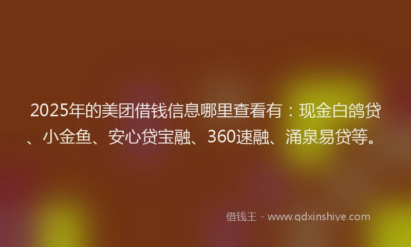 2025年的美团借钱信息哪里查看有：现金白鸽贷、小金鱼、安心贷宝融、360速融、涌泉易贷等。