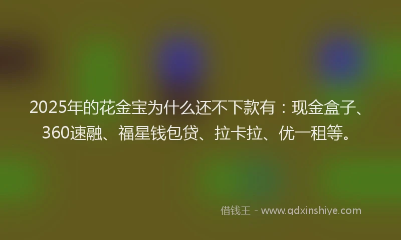 2025年的花金宝为什么还不下款有：现金盒子、360速融、福星钱包贷、拉卡拉、优一租等。