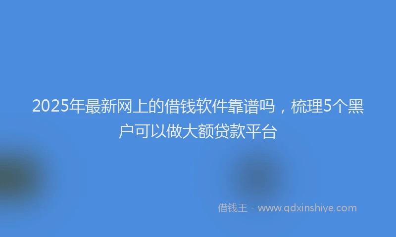 2025年最新网上的借钱软件靠谱吗，梳理5个黑户可以做大额贷款平台