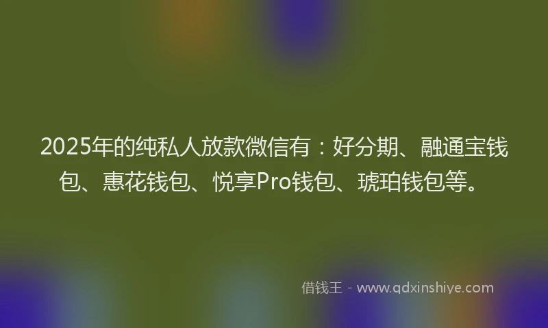 2025年的纯私人放款微信有：好分期、融通宝钱包、惠花钱包、悦享Pro钱包、琥珀钱包等。