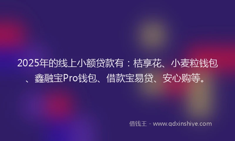 2025年的线上小额贷款有：桔享花、小麦粒钱包、鑫融宝Pro钱包、借款宝易贷、安心购等。