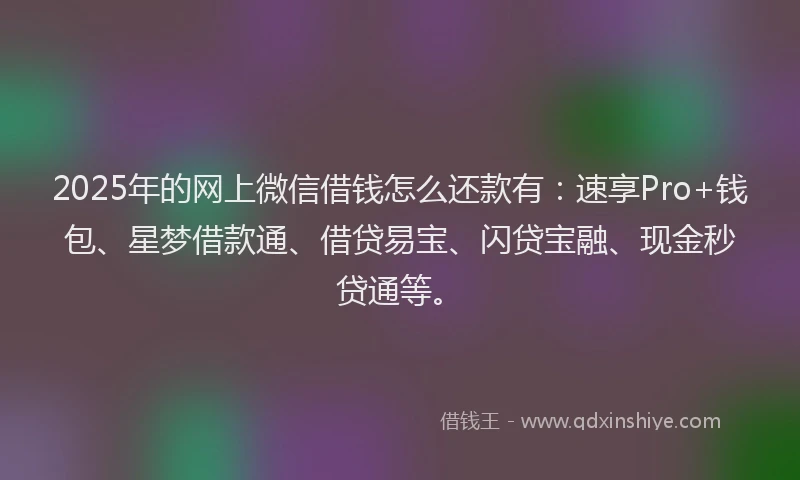 2025年的网上微信借钱怎么还款有：速享Pro+钱包、星梦借款通、借贷易宝、闪贷宝融、现金秒贷通等。