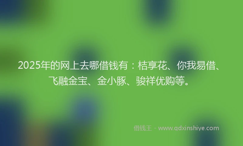 2025年的网上去哪借钱有：桔享花、你我易借、飞融金宝、金小豚、骏祥优购等。
