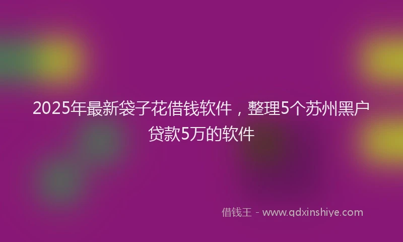2025年最新袋子花借钱软件，整理5个苏州黑户贷款5万的软件