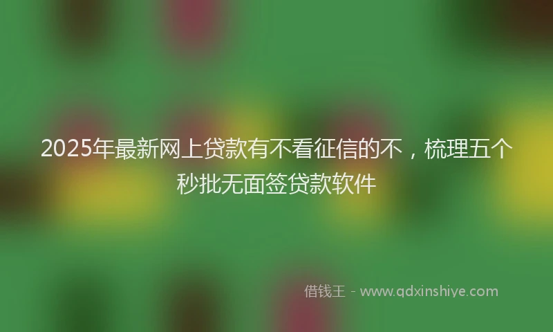 2025年最新网上贷款有不看征信的不，梳理五个秒批无面签贷款软件