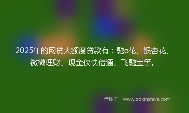 2025年的网贷大额度贷款有：融e花、银杏花、微微理财、现金侠快借通、飞融宝等。