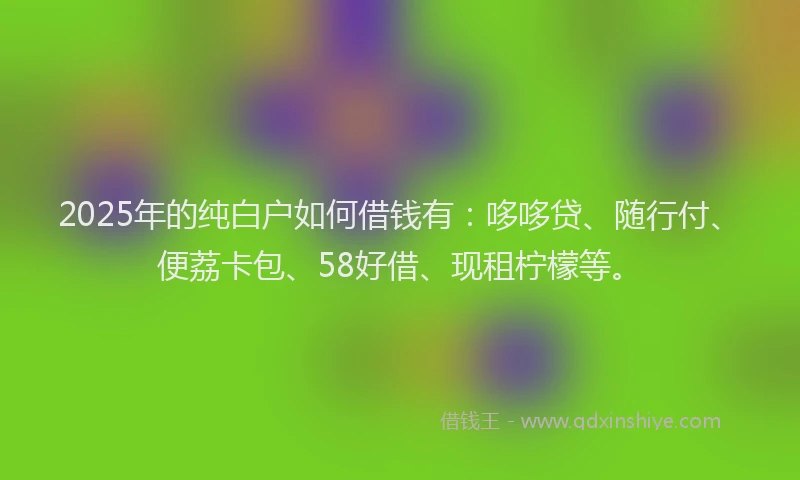 2025年的纯白户如何借钱有：哆哆贷、随行付、便荔卡包、58好借、现租柠檬等。