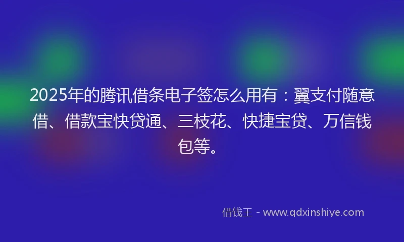 2025年的腾讯借条电子签怎么用有：翼支付随意借、借款宝快贷通、三枝花、快捷宝贷、万信钱包等。