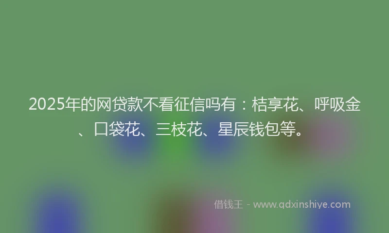 2025年的网贷款不看征信吗有：桔享花、呼吸金、口袋花、三枝花、星辰钱包等。